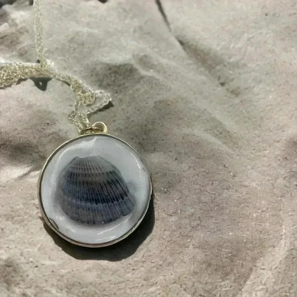 Seashells by the Seashore Cockle Shell Resin Statement Necklace Silver Chain 22" - Picture 1 of 6
